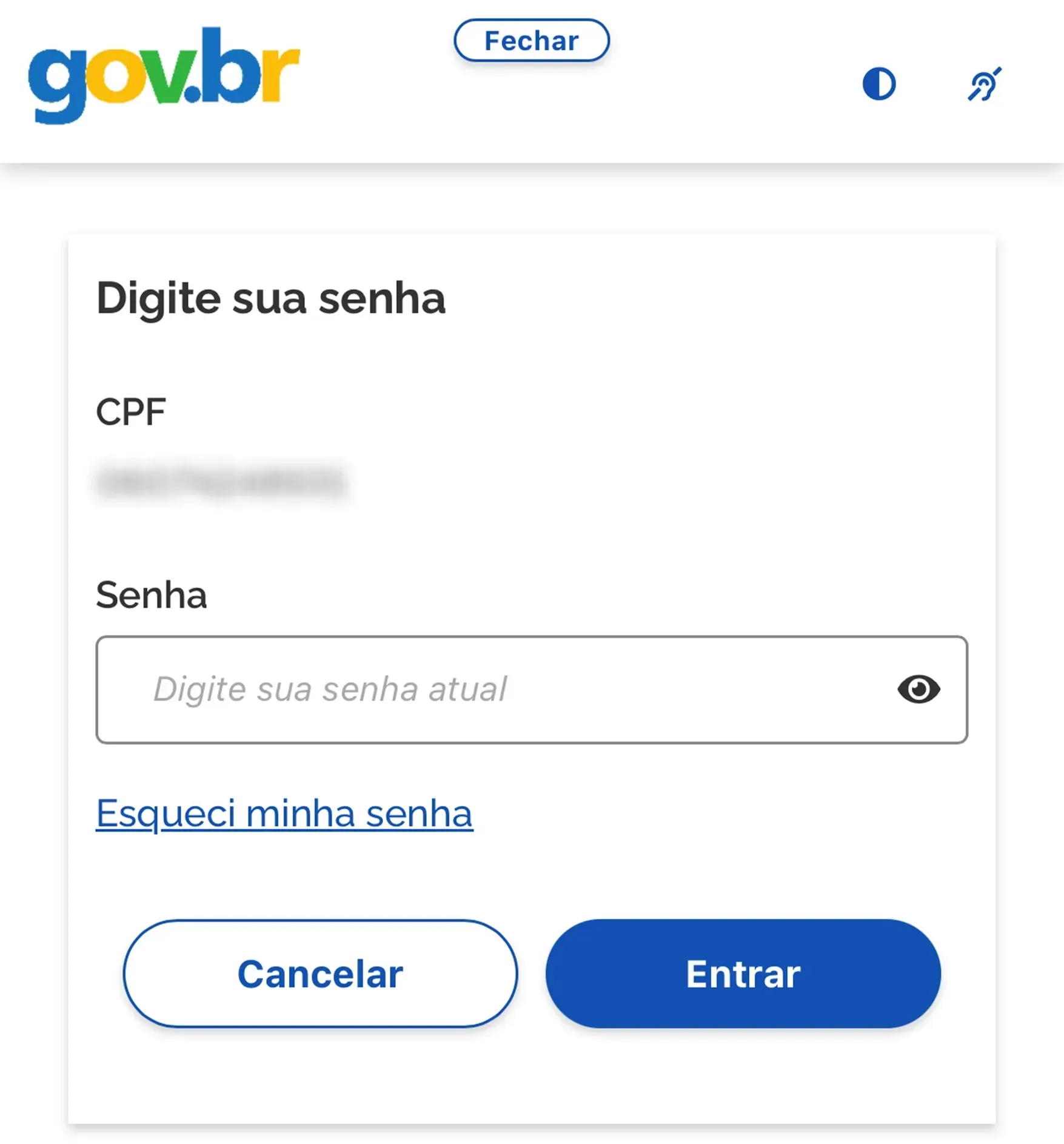 consultar cnis pelo cpf
